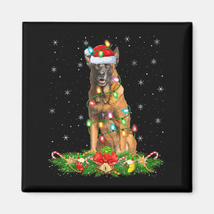 Belgisch Malinois Dog Christmas Lights Funny Santa Magnet