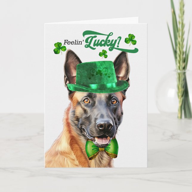 Belgisch Malinois Dog Lucky St Patrick's Day Feiertagskarte (Vorderseite)