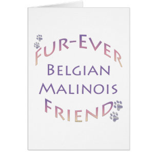 Belgisch Malinois Furever