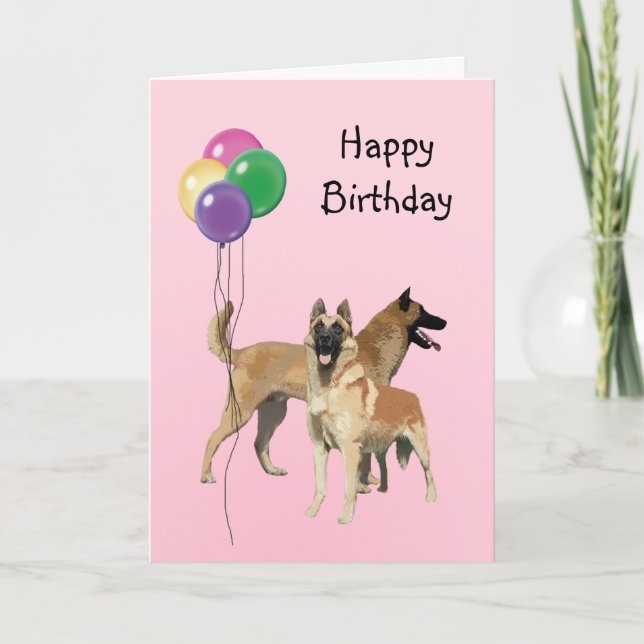Belgisch Malinois, Geburtsballoons Karte (Vorderseite)