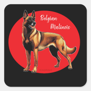 Belgisch Malinois Grafik Quadratischer Aufkleber