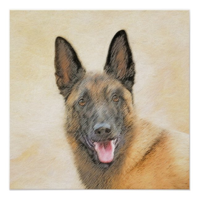 Belgisch Malinois Malerei - Niedliche Original Hun Poster (Vorderseite)