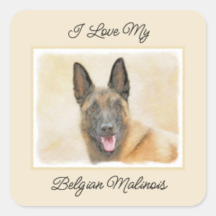 Belgisch Malinois Malerei - Niedliche Original Hun Quadratischer Aufkleber