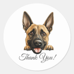 Belgisch Malinois Niedlich Hund Vielen Dank Runder Aufkleber