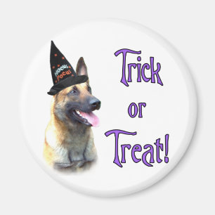 Belgisch Malinois Trick Magnet