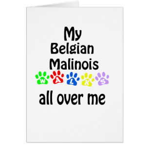 Belgisch Malinois Walks Design