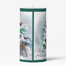 Belgisch Malinois Weihnachten