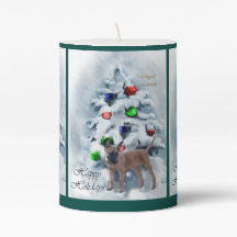 Belgisch Malinois Weihnachten