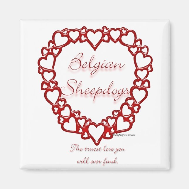 Belgisch Sheepdog True Love Magnet (Vorne)