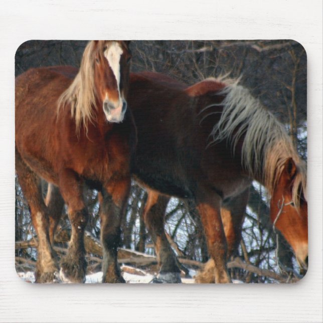 Belgische Entwurfs-Pferdemausunterlage Mousepad (Vorne)