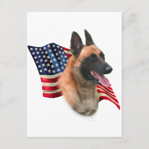 Belgische Flagge Malinois Postkarte
