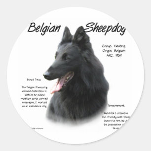 Belgische Geschichte der Schafhunde Runder Aufkleber