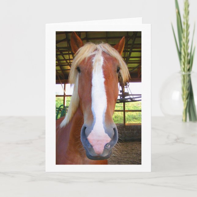 Belgische Gruß-Karten Karte (Vorderseite)