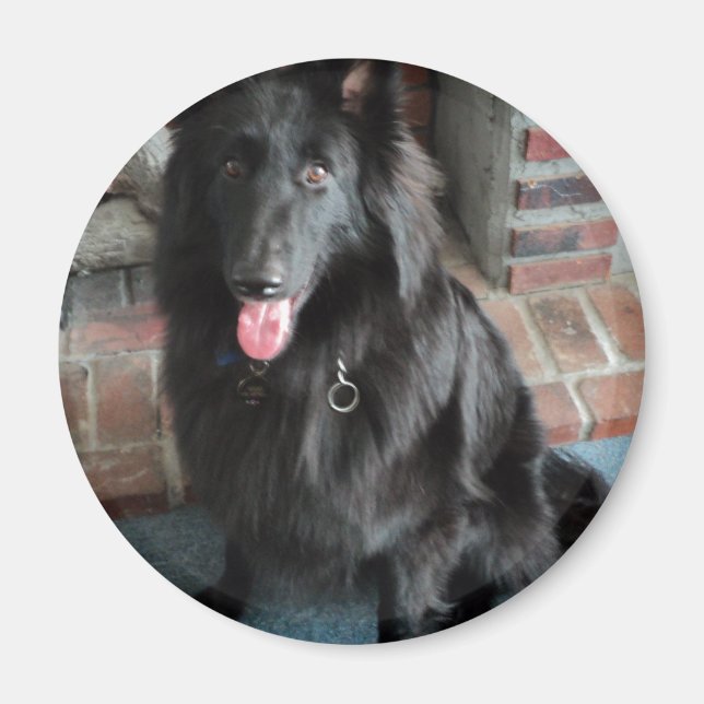 Belgische Hirte alias "The Black Wolf" Magnet (Vorne)