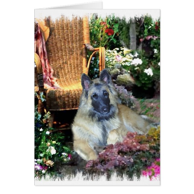 Belgische Kunstgeschenke Tervuren (Vorne)