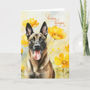 Belgische Malinois Dog Golden Poppies werden gut Karte