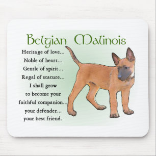 Belgische Malinois Geschenke Mousepad