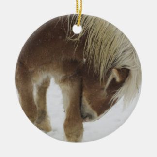 Belgische Pferdeverzierung Keramik Ornament
