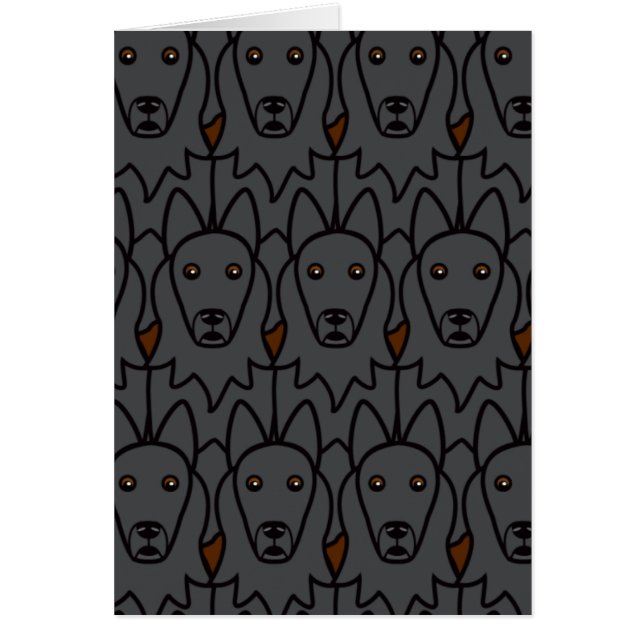 Belgische Schäferhunde (Vorne)