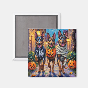 Belgische Schäferhunde beim Halloween-Süßigkeiten- Magnet