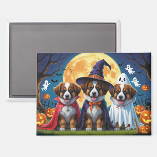 Belgische Schäferhunde Pumpkin Halloween Funny Magnet