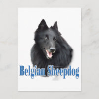 Belgische Schafname