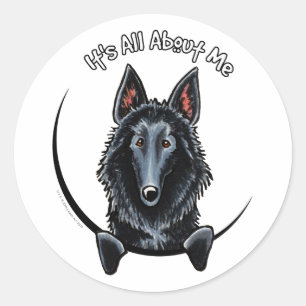Belgische Sheepdog IAAM Runder Aufkleber