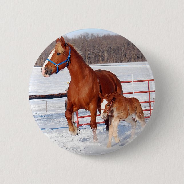 Belgische Stute und Stutenfohlen Button (Vorderseite)