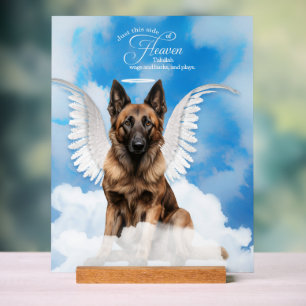 Belgische Tervuren Dog Angel mit Name Pet Memorial Acrylschild