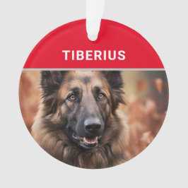 Belgische Tervuren Dog's Name und Foto Weihnachten Ornament