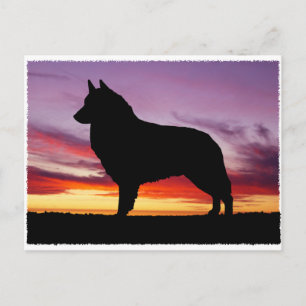 Belgische Tervuren Postkarte