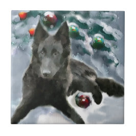 Belgische Weihnachtszeit Fliese