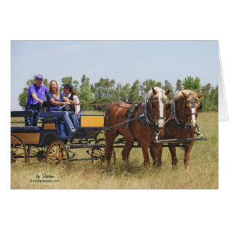 Belgischer Entwurfs-Pferdelastwagen