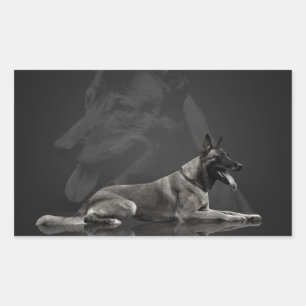 Belgischer Hirte - Malinois Rechteckiger Aufkleber