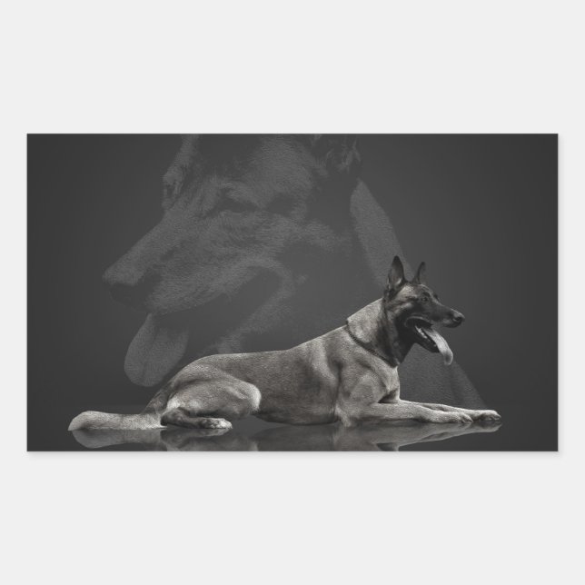 Belgischer Hirte - Malinois Rechteckiger Aufkleber (Vorderseite)