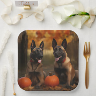 Belgischer Malinoi Welpe Herbstfreude Kürbis Pappteller