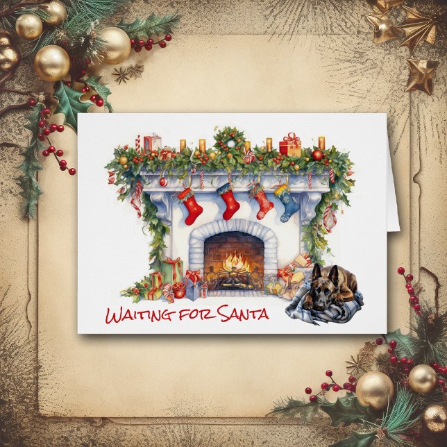 Belgischer Malinois-Hund Gewartet für Santa (Von Creator hochgeladen)