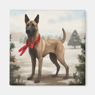 Belgischer Malinois Hund im Schnee Weihnachten Magnet