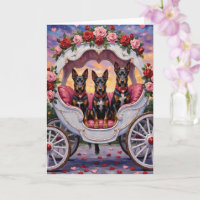 Belgischer Malinois Hund Valentinstag