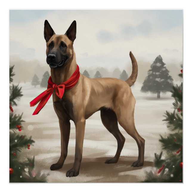 Belgischer Malinois-Hund zu Schneeschweihnachtsfes Poster (Vorderseite)