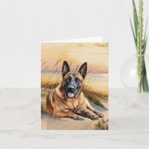 Belgischer Malinois-Hundefreund Sandstrand