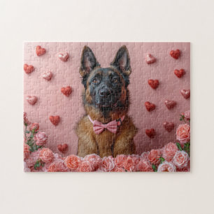 Belgischer Malinois mit Rosen - Valentinstag
