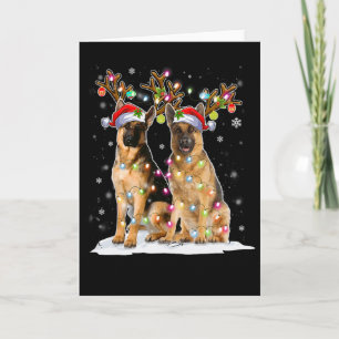 Belgischer Malinois-Rentierhut Weihnachtsmann Weih Karte