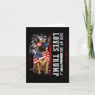 Belgischer Malinois Sogar mein Hund liebt Trump Lu Karte