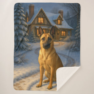 Belgischer Malinois Urlaub Sherpadecke