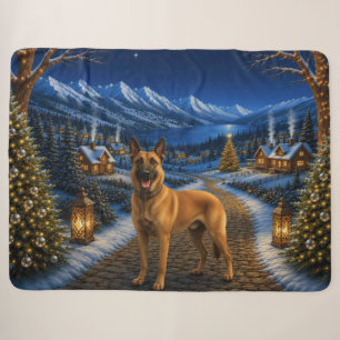 Belgischer Malinois Urlaub Sherpadecke