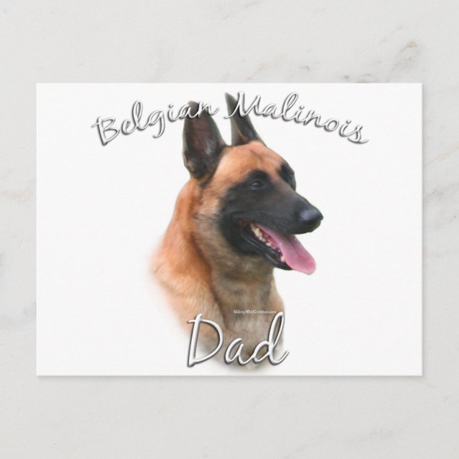 Belgischer Malinois-Vater 2 Postkarte (Vorderseite)