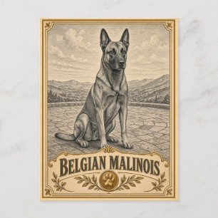 Belgischer Malinois, Vintage Heritage Hund Postkarte
