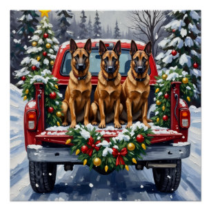 Belgischer Malinois Weihnachten Rotes Lastwagen Fe Poster