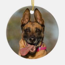 Belgischer Malinois Welpenhund Keramik Ornament